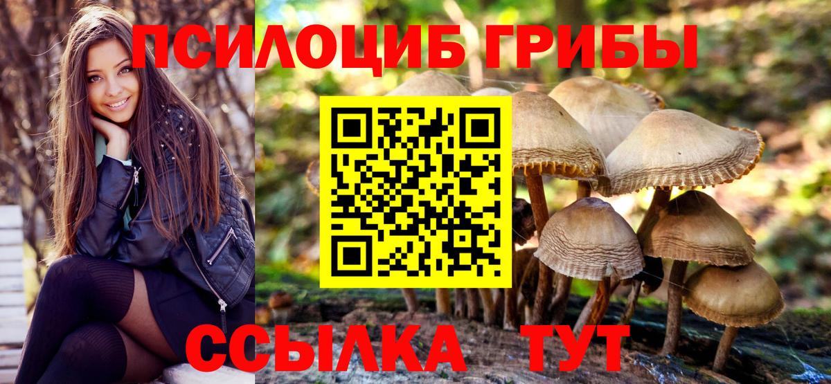 Псилоцибиновые грибы Magic Shrooms  Вход с VPN  Бузулук  где можно купить наркотик  Галлюциногенные грибы мухоморы 